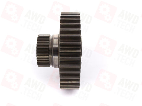 Pignone (dimensione 1,25