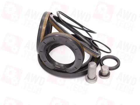 Kit di tenuta (per RDM MFA)