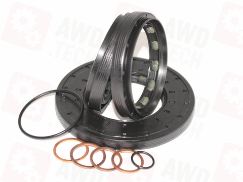 Zestaw uszczelniający (dla ITC PLA)