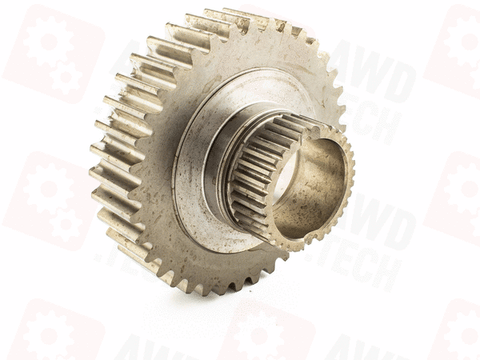 Pignone (dimensione 1,25