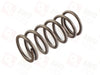 A4639930201 Molla di pressione (per VG150/VG150 E)