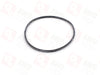 TYX100500 O-ring (per CB40)